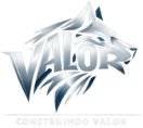 CONSTRUINDO VALOR